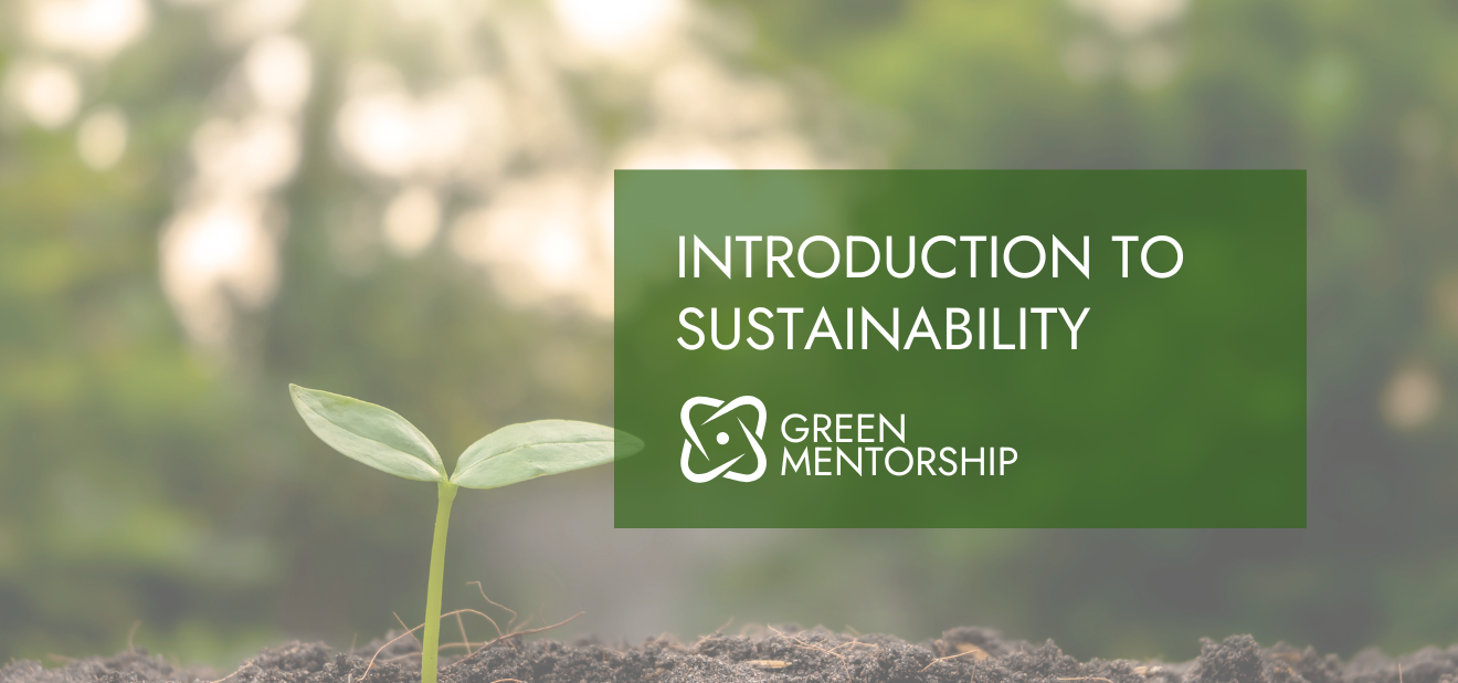 Introduction to Sustainability